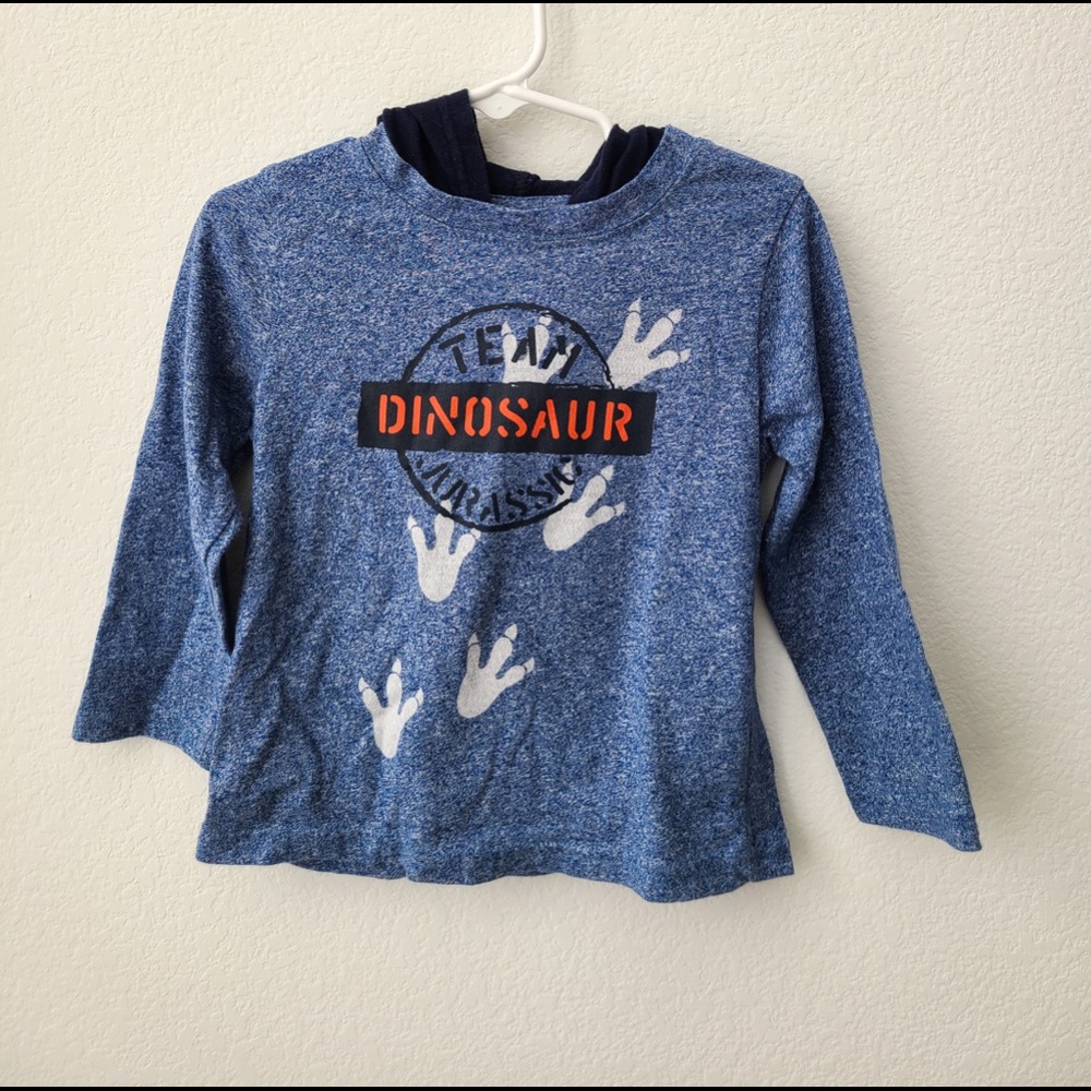 Team Dinosaur Graphic Hoodie